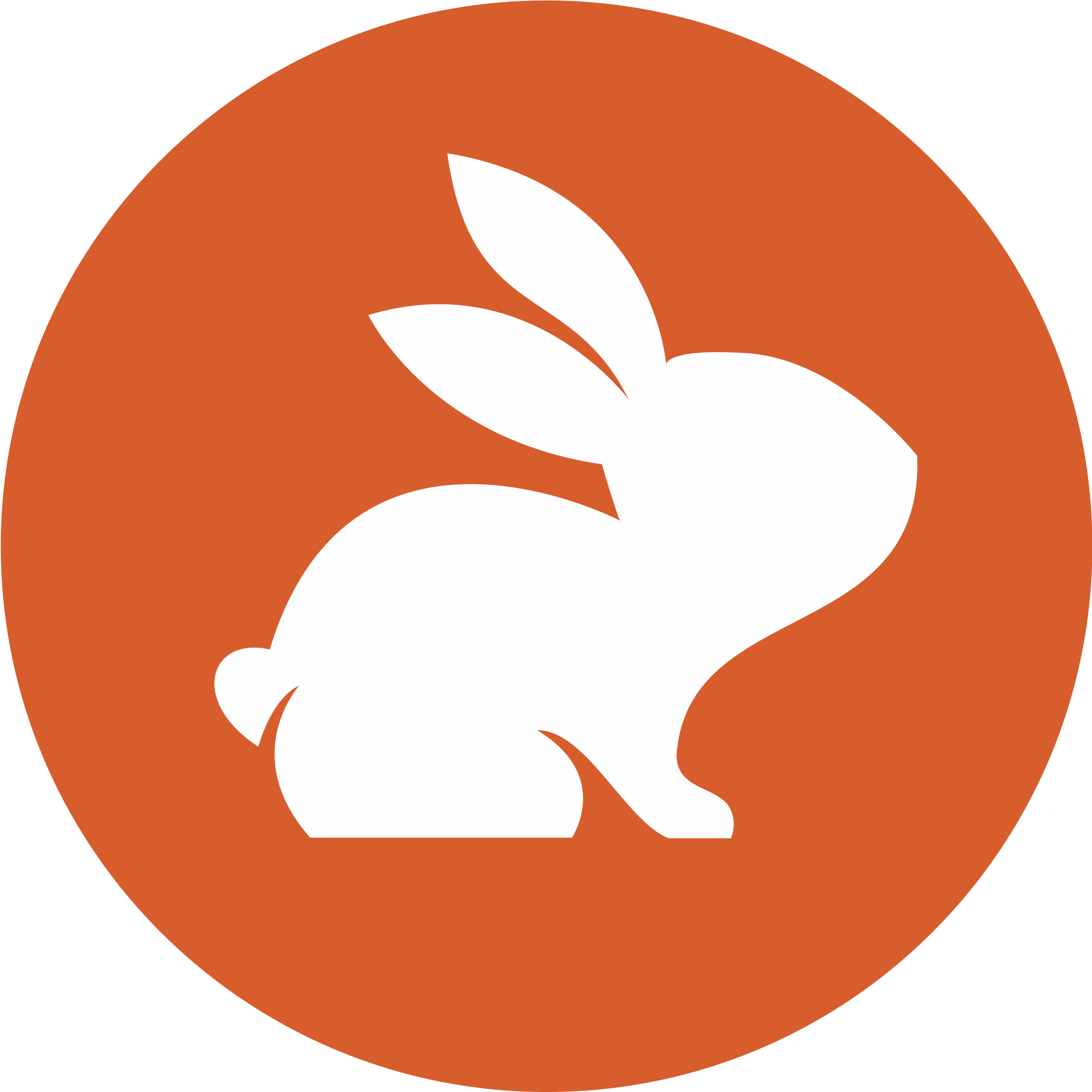 CodeRabbit logo, an illustrated rabbit face wearing glasses.
